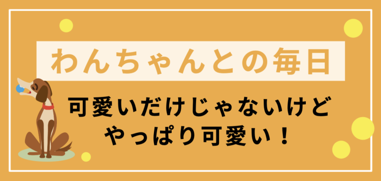 わんちゃんとの毎日可愛いだけじゃないけどやっぱり可愛い！